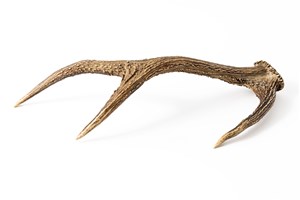 Image description is not available for 2011.56.1